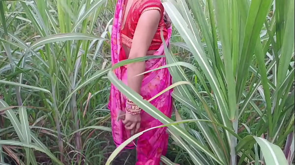 Image Desi Village bhabhi Fucking Field Lover Boy Outdoor video