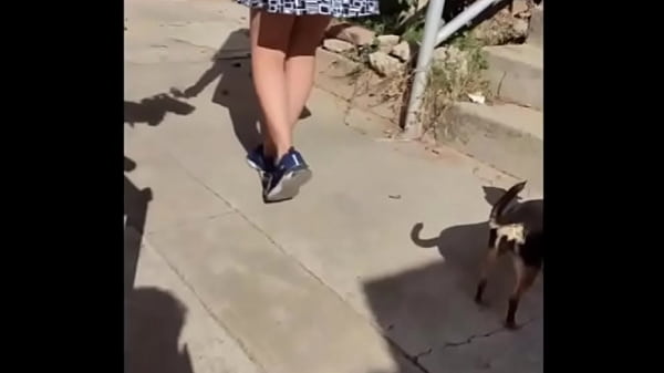 Image Rompiendo culo de hermosa latina pero llego su novio en plena accion y todo sale mal - culo grande siendo follada por enorme verga y su concha queda destrozada