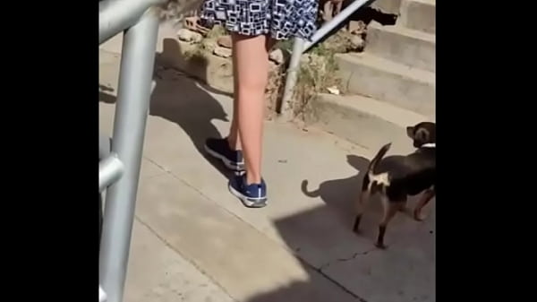 Image La chica promiscua hijastra de mi vecina se deja follar el culo conmigo y me pidio que la grabara - Rica morrita siendo follada por su hermoso culo y vagina apretadita