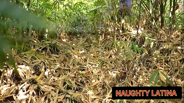 Image BBW NAUGHTY ORGY CREAMPIES ON BUSH HARDCORE WITH AFRICAN PORNSTAR SOFTKIND