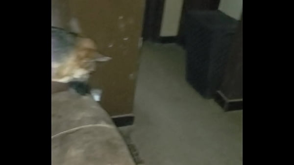 Image Cumming on and in wife's pussy on table