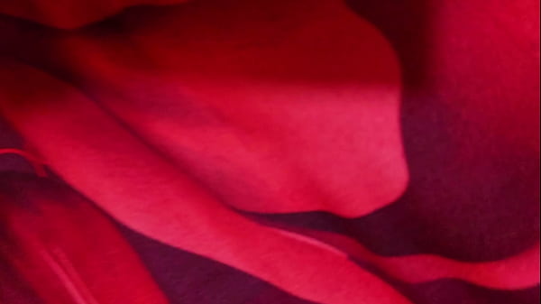 Image Al inicio quise fing&iacute_a que no me importaba pero extra&ntilde_aba mucho la verga de mi hijastro
