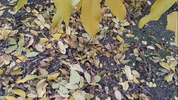 Image Our autumn romantic sex in a hut - Lesbian Illusion Girls