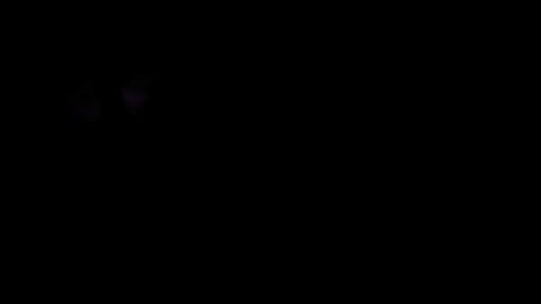 Image Umamusume Biwa Hayahide sex compilation