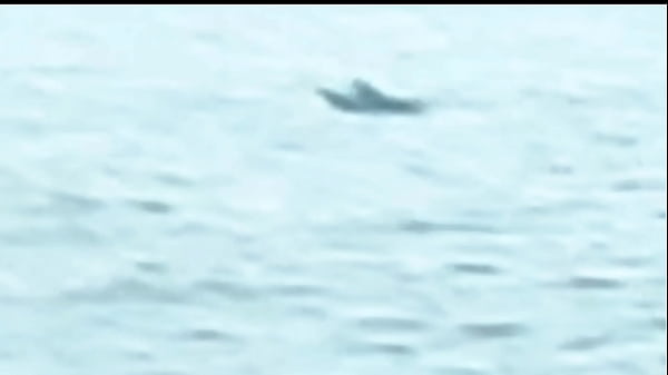 Image Gozando na boca de uma desconhecida que encontrei na praia , sexo ao ar livre com pessoas olhando.Dogging(Ad&atilde_o e Eva)