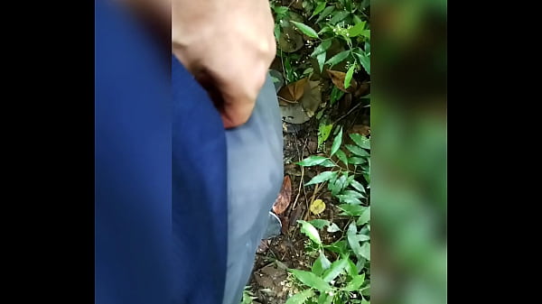 Image Andado com o pau pra fora da bermuda no parque.
