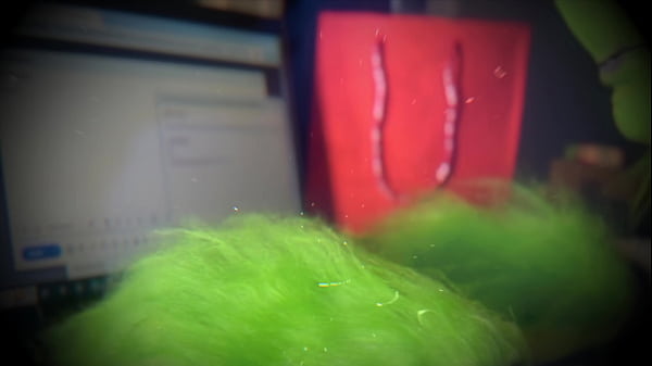 Image ALEX BLAIR and The Grinch