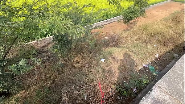 Image Pissing in open fields