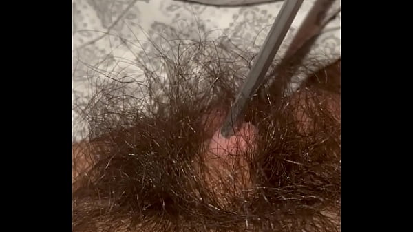 Image Rod in micro penis