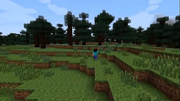 Image las mas EXTRA&Ntilde_AS (y peores) versiones de MINECRAFT que quizas no conocias