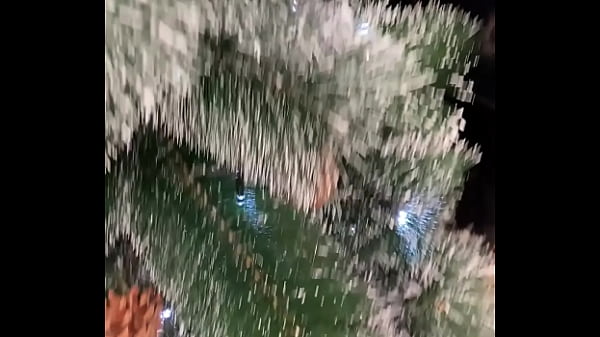 Image Step Sister showed me her Christmas costume and gave me her holes as a gift