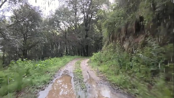Image With mom in the forest on a wet night