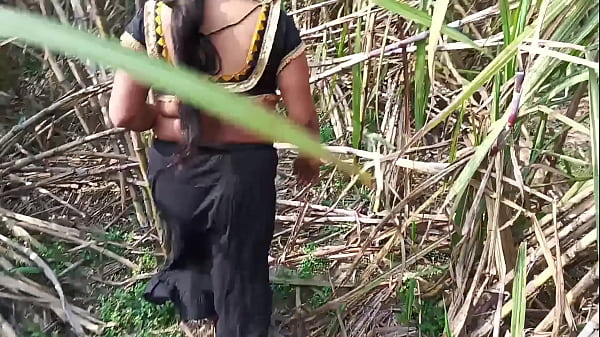 Image Desi step aunty outdoor sex ganne ki khet me chudai
