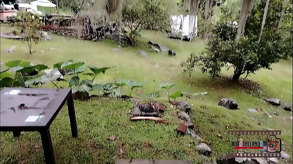 Image Espiando a mi vecina / Spying on my neighbor