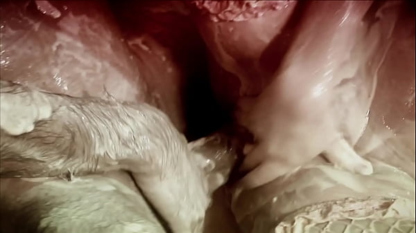 Image Blonde With Big Boobs Savannah Gold Gets Fucked In Vat Of Food