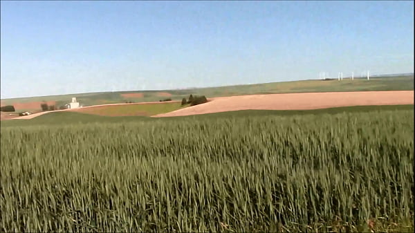 Image Farm Girl Fucked in the Field