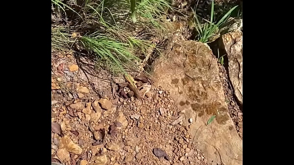 Image Exposed Hiking (pee on lookout&cum by picnic table)