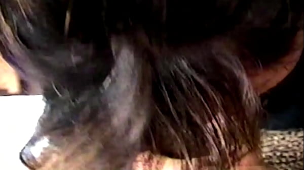 Image I love having a big cock in my mouth, sucking them until they cum in my mouth