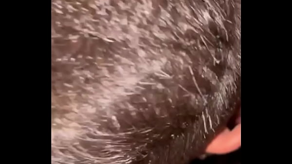 Image Fiquei sozinho com meu p.rl.m0 e ele pediu pra eu fuder ele e ainda gravar pra poder bater uma assistindo, depois.