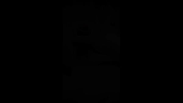 Image Solo cumshot compilation
