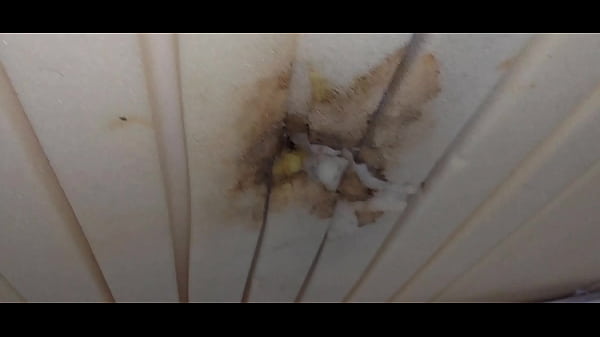 Image I ejaculate sperm into the hole of the mattress while thinking about pussy.