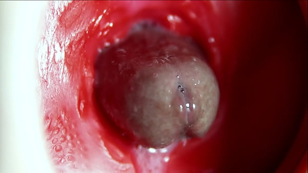 Image Big orgasm inside the anus! Fantastic moaning orgasm and a lot of sperm!