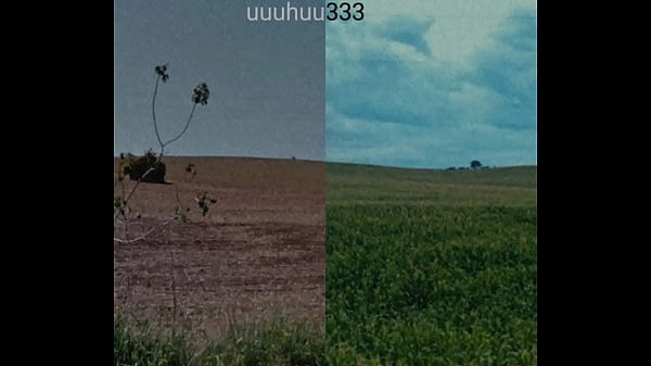 Image final