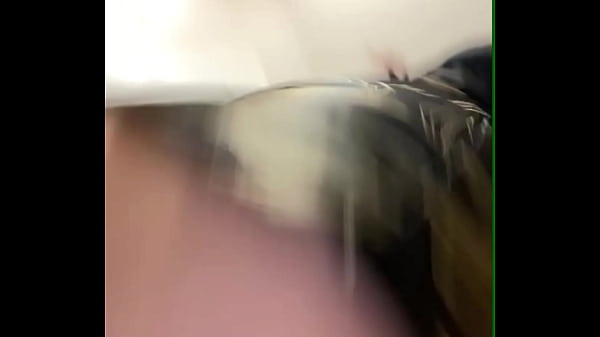 Image Submissive Asian GF Deepthroats Black Dildo