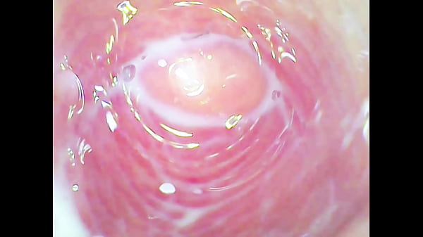 Image Pussy roller coaster (Glass dildo deep in the tight juicy pussy)