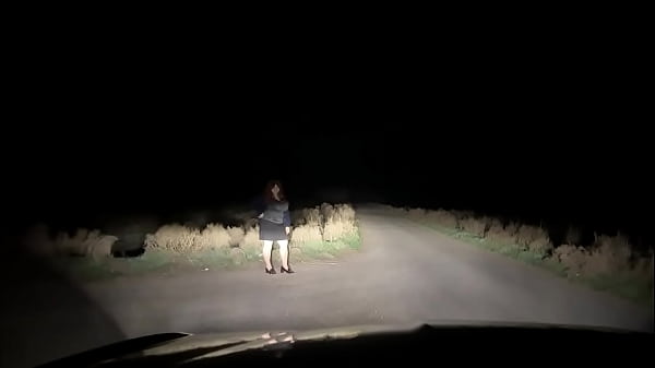 Image Mature MILF met on the road and did everything in the car
