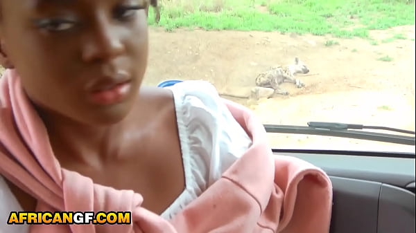 Image Real Black Babe Pussy Railed POV By Hung White Tourist In Safari Van