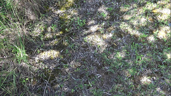 Image Real voyeur got SCARED when I started pissing from my hairy pussy!!!