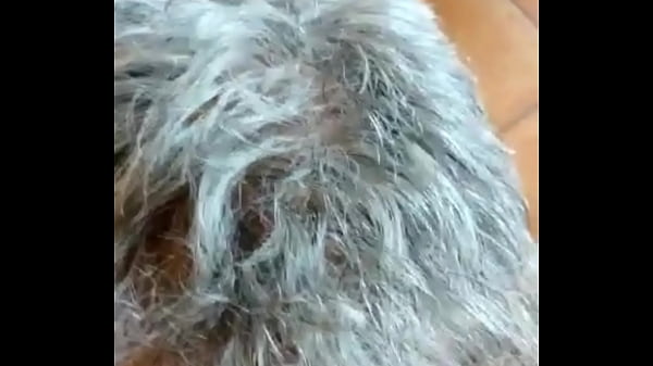 Image Awesome 84yo stallion barebacks and creampies a filthy hooker