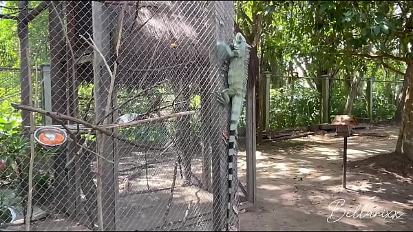 Image Guia tur&iacute_stica leva viajante de f&eacute_rias pata conhecer o parque, mas eles encontraram um bom lugar - cum on ass and female orgasm