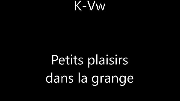 Image Bande annonce Dans la grange