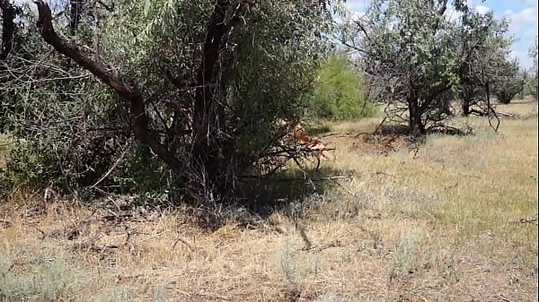 Image Shy  Aboriginal