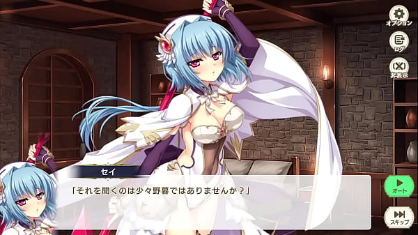 Image Suzukuri Dungeon RPG Chou'un