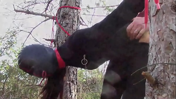 Image Preview - Half an hour compilation of a milf fucked doggy style with repeated orgasms