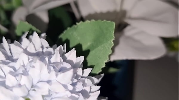 Image ANSIMA E GEME | CAZZO ENORME SBORRA - APRI LA BOCCA E BEVI IL MIO SPERMA
