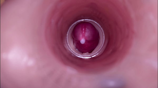 Image Female Insemination - Internal Camera Captures Deep Male Ejaculation