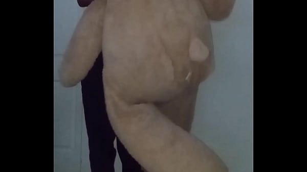 Image Taking turns stretching like my other Scorpio zodiac animal from astrology a spider similar to stretching like a cancers zodiac animal a crab with toy bear 1