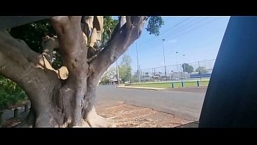 Image Kinkycraig - update #38 - A (6) 1 - Jun 04, 2025