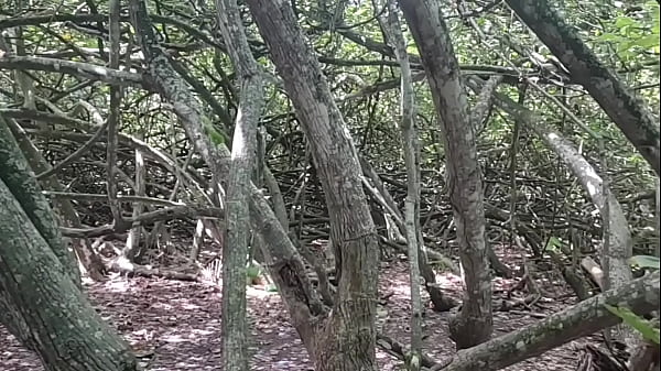 Image Esse turista me perguntou onde era a sa&iacute_da da trilha, tive que mostrar da melhor maneira poss&iacute_vel