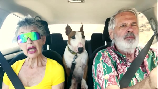 Image We drive around East Oahu while chatting about things sexual