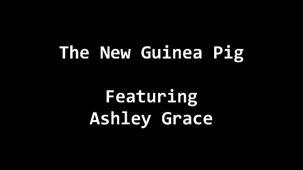 Image The New Guinea Pig, Alt Version - Alexis Grace