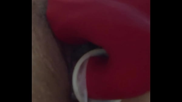 Image Amysexxxjuguetona estrena dildo, se masturba y gime como como las perras