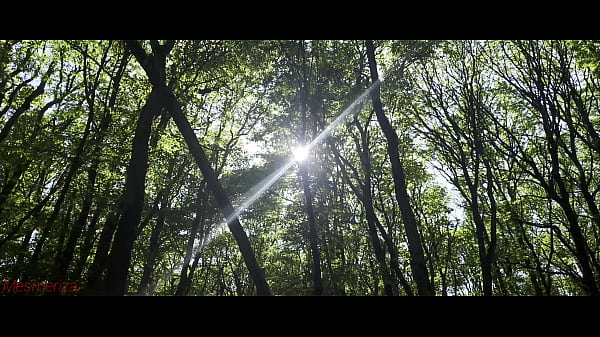 Image Mesmeriza 23 02 MOV CINEMA CLIP 321 20240814134325039