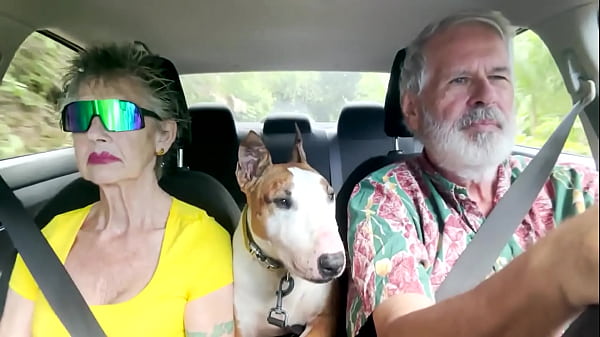 Image We love road trips -- which are difficult on Oahu, only 125 miles in circumference. In this video, we drive from the Wind ...