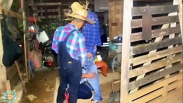 Image Suruba dos caipira pauzudo com tez&atilde_o fudendo na festa junina