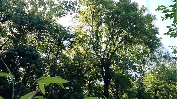 Image Public jerkoff at the park cum went everywhere hopefully nobody saw